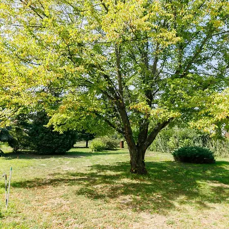 Daire Anthony 2 By Interhome Balatonboglár