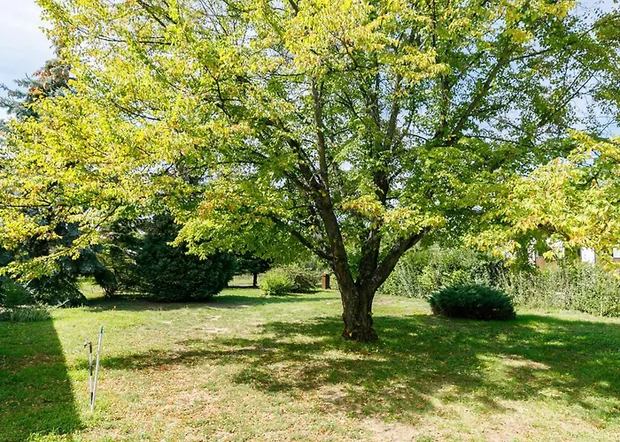 Lägenhet Anthony 2 By Interhome Balatonboglár